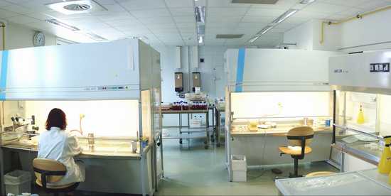 Plant tissue culture laboratories at IAM